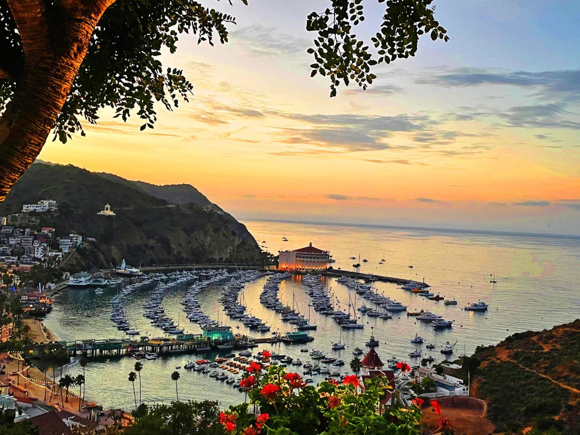 Catalina Courtyard Suites Avalon Bagian luar foto